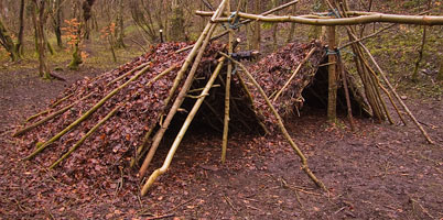 Debris shelters are a simple but time consuming way of creating shelters in woodland. Such shelters should always be dismantled after use. - © 2017 - Gary Waidson - Ravenlore
