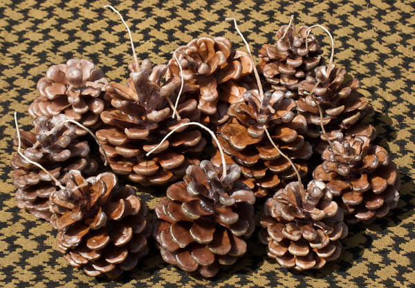 Pine Cone Candles -   Gary Waidson - Ravenlore Bushcraft and Wilderness skills.