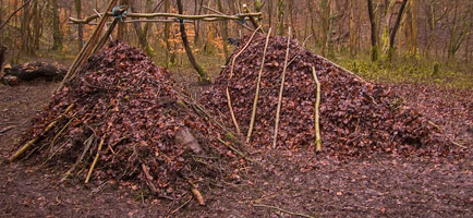 Although debris shelters can be created with natural materials, they are not a low impact approach to camping. Such shelters should always be dismantled after use. - © 2017 - Gary Waidson - Ravenlore